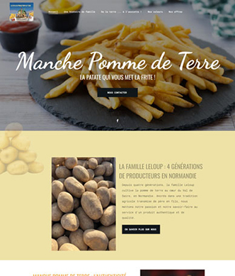 MANCHE POMME DE TERRE