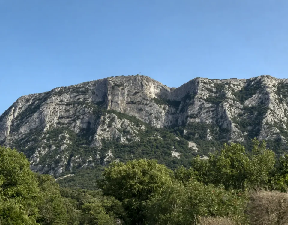 header pic saint loup